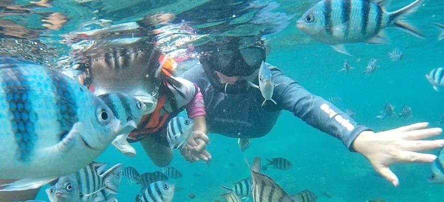 Koh-Tao-Koh-Nang-Yuan-Mr-Tu-11