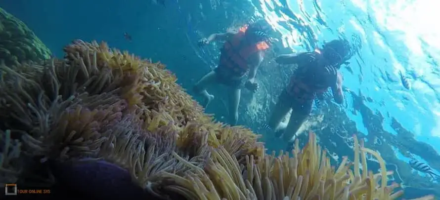 Koh-Tao-Koh-Nang-Yuan-Mr-Tu-4