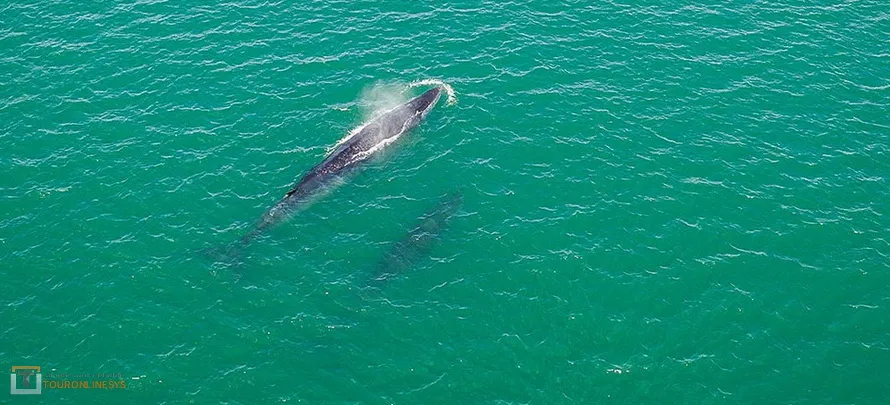 Angthong-Highseatour_Touronlinesys-H-5