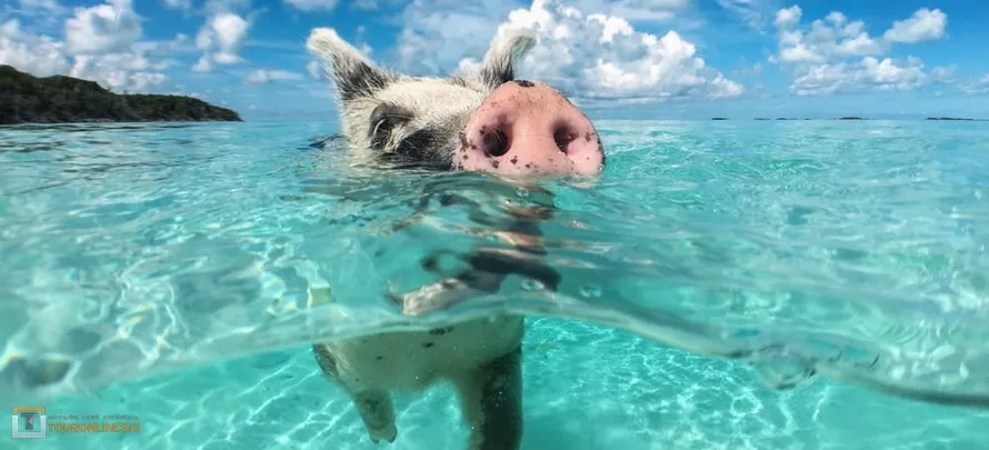 Koh-Madsum-Angthong-Sea-H2