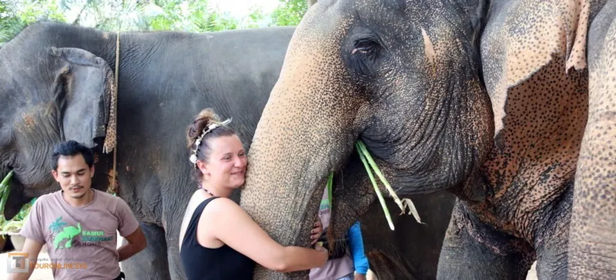 Samui-Elephant-Home-touronlinesys-H-3
