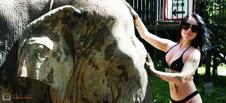 Samui-Elephant-Jungle-sanctaury-H- 6