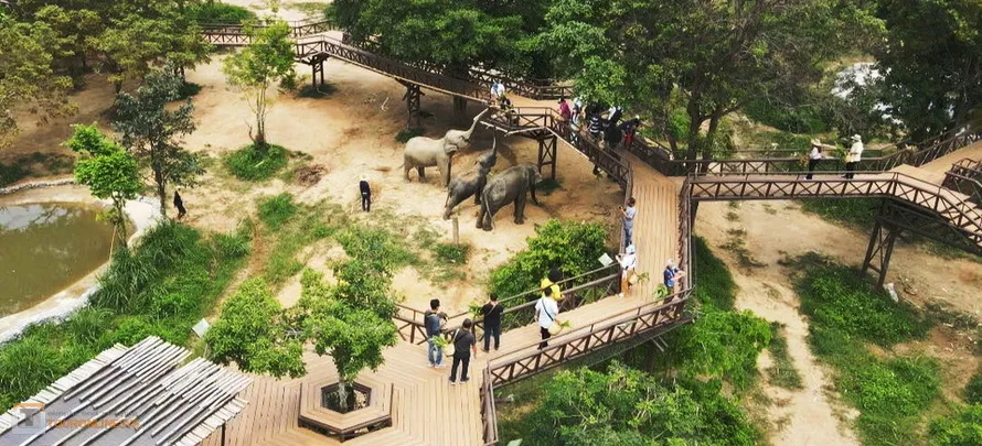 Samui-Elephan-Kingdom-H-5