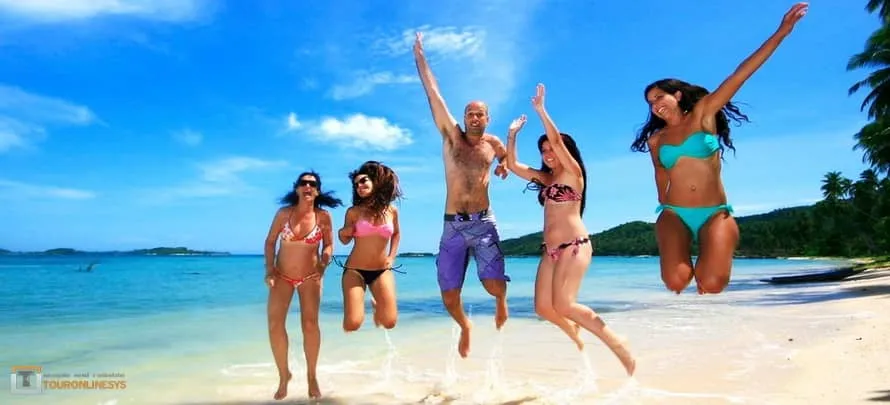 Dolphin-watching-Pig-Island 2