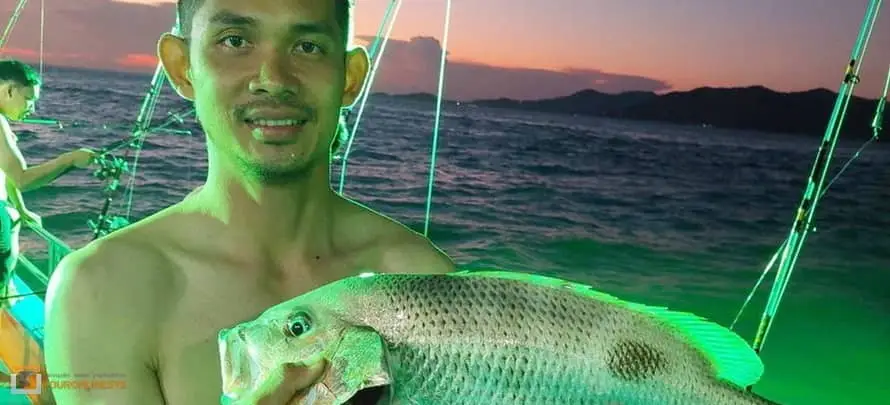 Night Fishing H Mr. TU 3