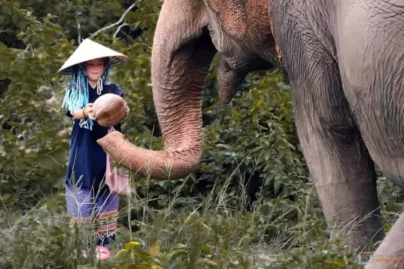 Sami-Elean-Home-oronlinesys