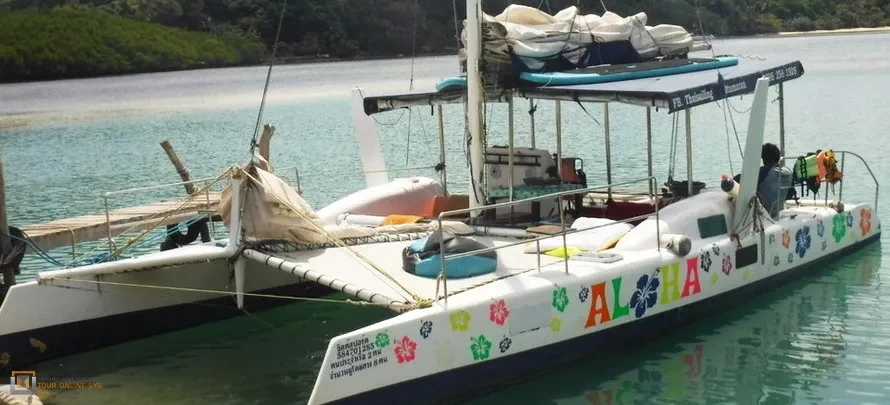 Sailing-Catamaran-H-1