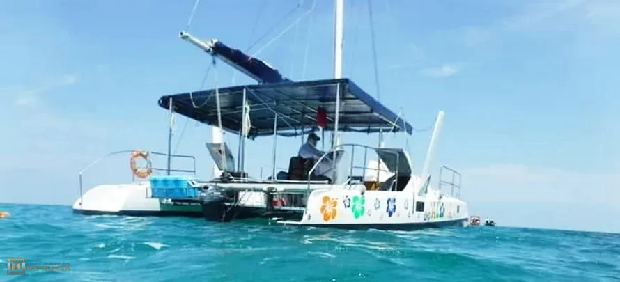 Sailing-Catamaran-H-2