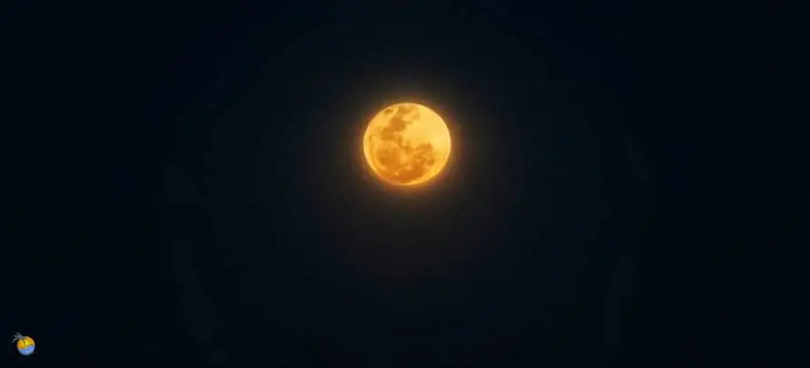 Full-moon-Golden-Moon-H 1