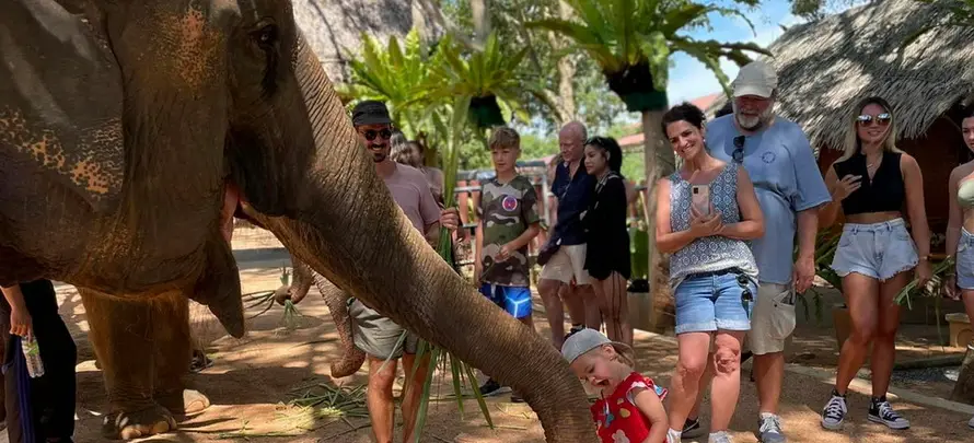 Feeding-Me-Tour-Online-SYS-H1