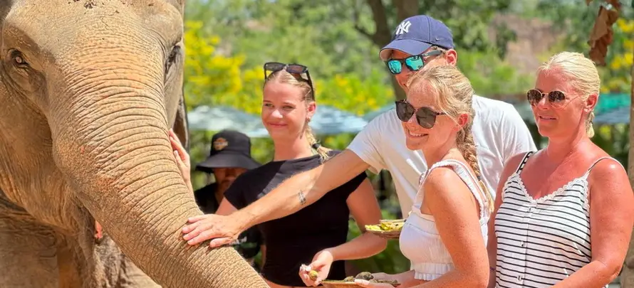 Feeding-Me-Tour-Online-SYS-H3