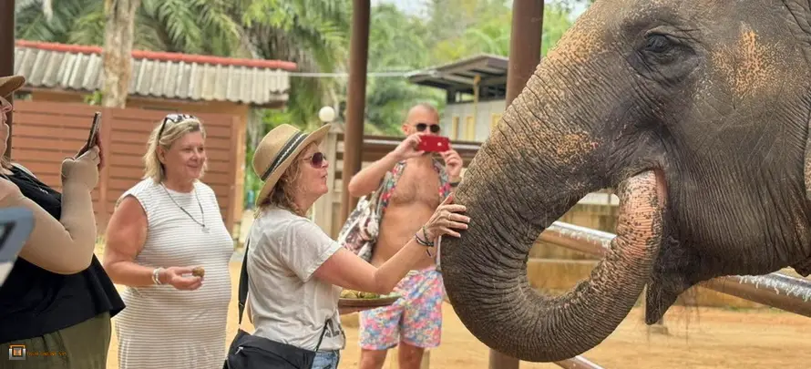 Feeding-Me-Tour-Online-SYS-H4