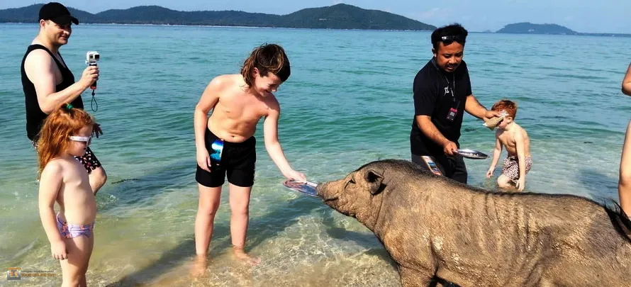 Ocean-King-Samui-H-4