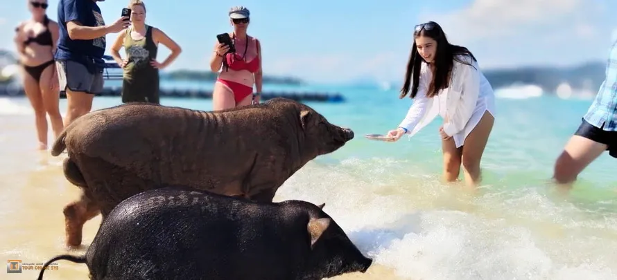 Ocean-King-Samui-H-5