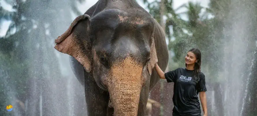 Samui-Elephant-Jungle-sanctaury-H-1