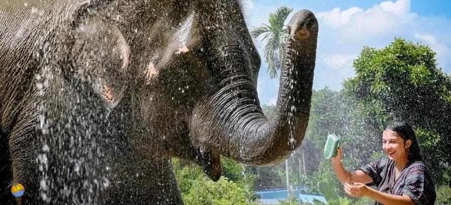 Samui-Elephant-Jungle-sanctaury-H-2