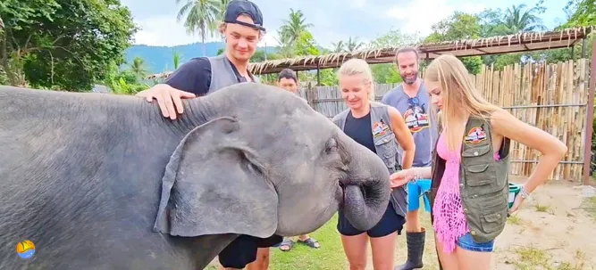 Samui Elephant World H 3