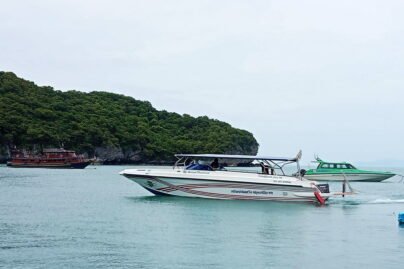 Private speedboat 1 engine 10